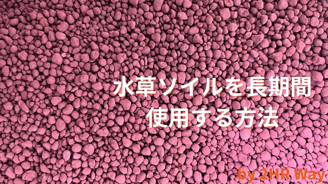 ソイル 底床 砂利 おすすめ 水草水槽 管理 掃除 維持 汚れ