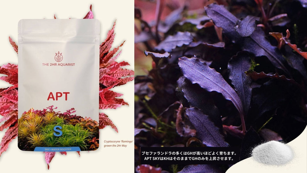 GH 上昇 水質 上げる シュリンプ 水槽 低い ミネラル