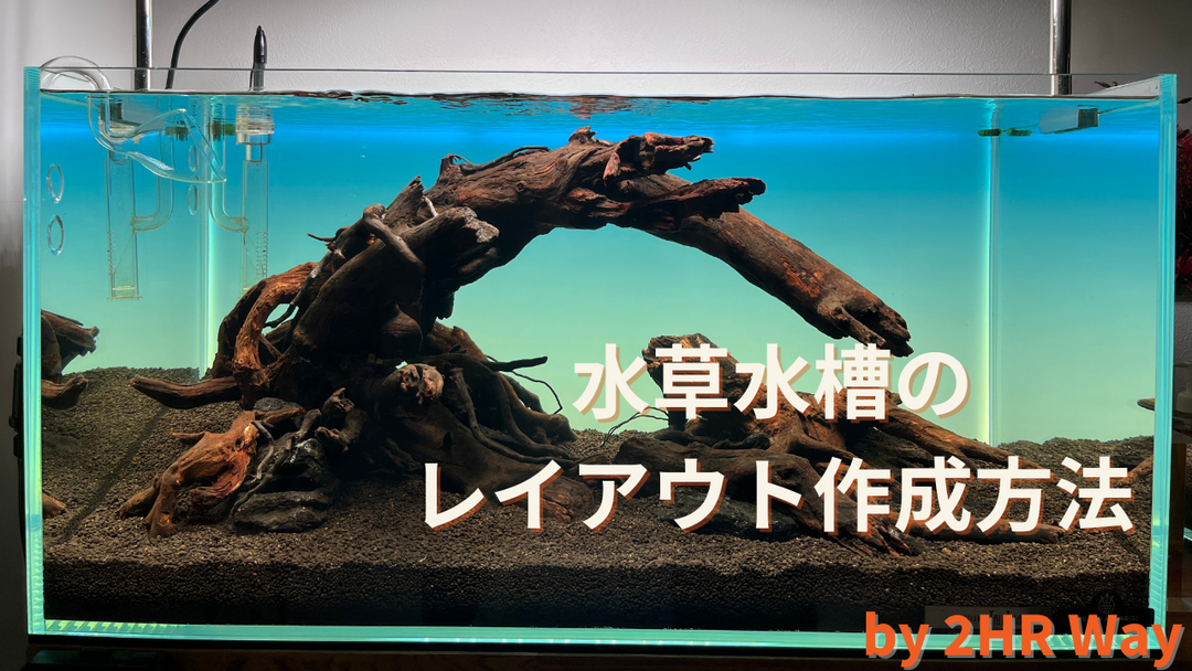 レイアウト 水草 水槽 おすすめ ソイル 石 流木