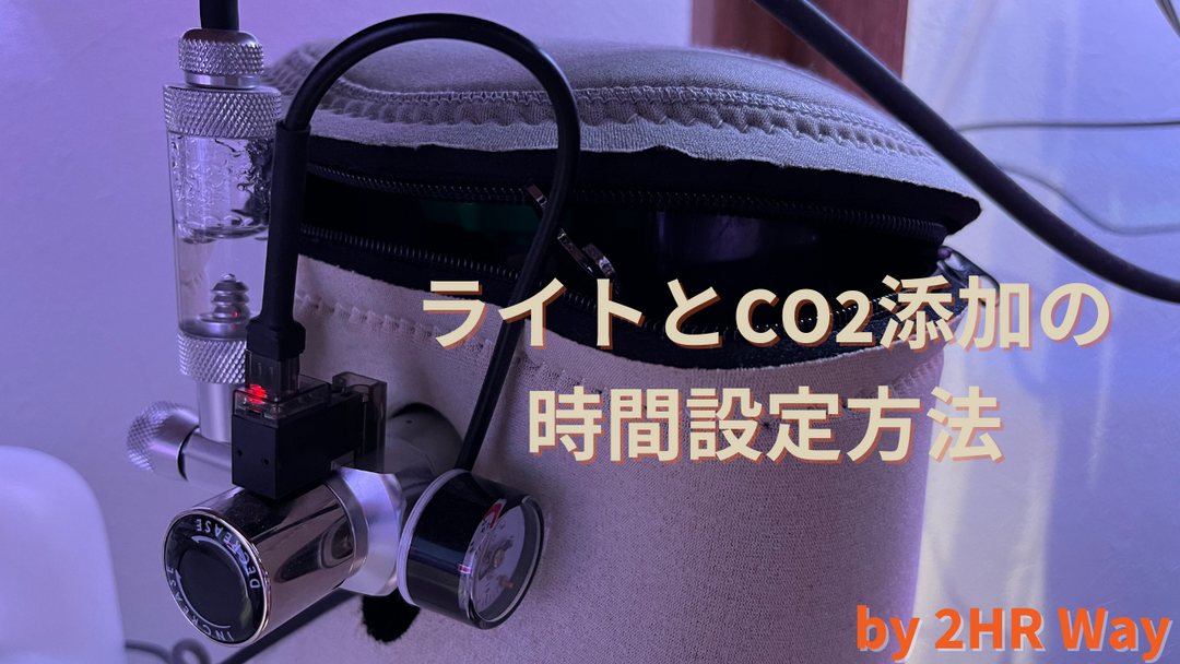 照明 時間 水草水槽 ライト 点灯 CO2 添加 おすすめ