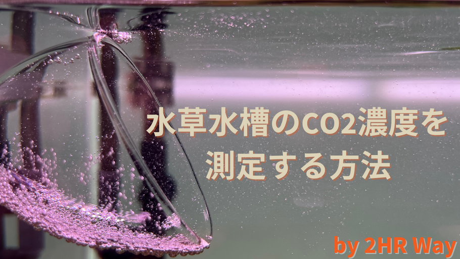 水草水槽のCO2濃度を測定する方法 ep.8