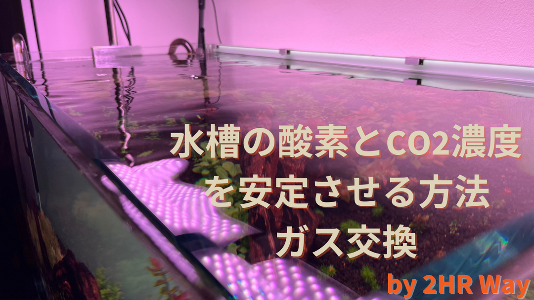 水草水槽 濃度 酸素 エアレーション O2 おすすめ CO2
