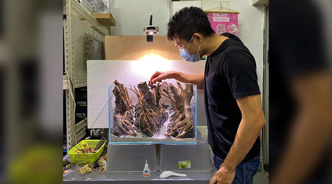 石 流木 接着 レイアウト 素材