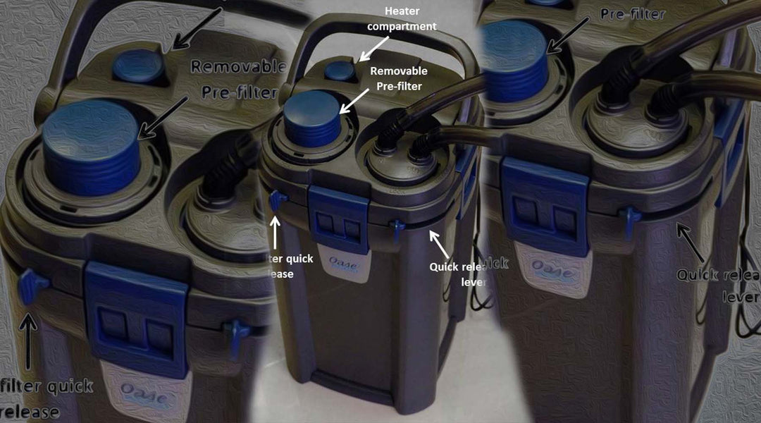 おすすめ 外部フィルター メンテナンス 水草 水槽 掃除