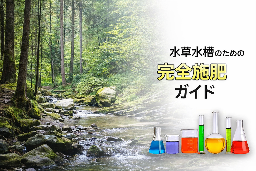 水草水槽の肥料はどれくらい入れるべき？ EI方式・ADA方式・2HR Wayから考える「適切な施肥量」