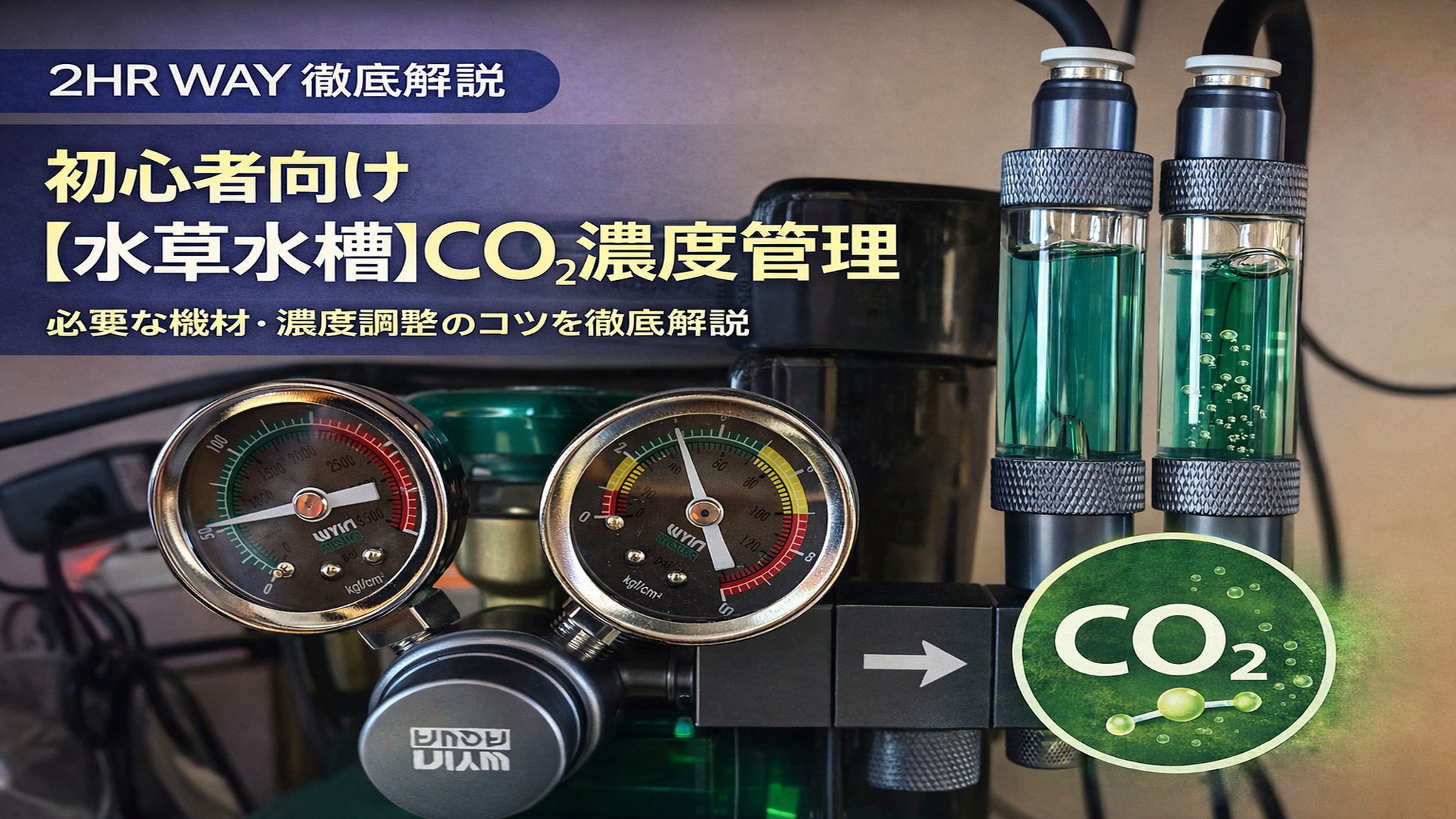初心者でも失敗しない水草水槽のCO2濃度の考え方と測り方 - THE 2HR