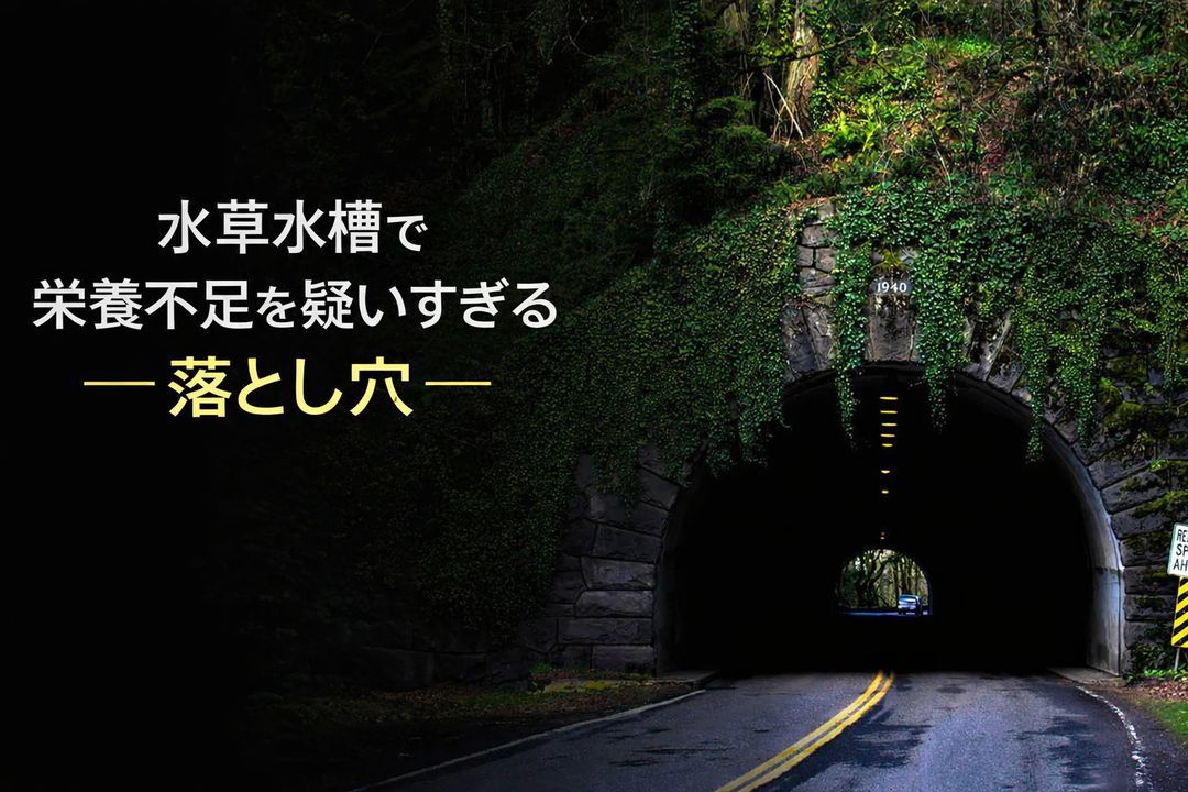 「栄養不足だ」と疑いすぎる落とし穴 ― 栄養トンネル視とは何か？【2HR Way】