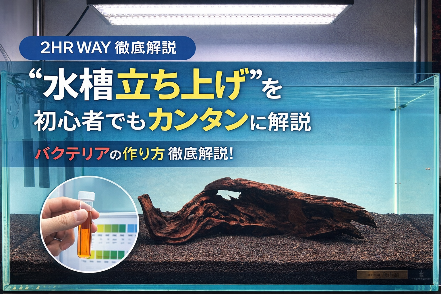 水草水槽の水作り完全ガイド｜APTシリーズで失敗しない立ち上げ方法