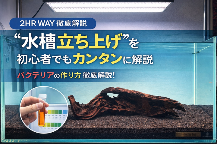【初心者向け】水草水槽の水作り完全ガイド ― 失敗しない立ち上げ方法【APTシリーズ／2HR Way】