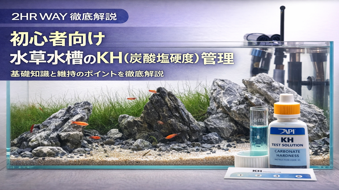 水草水槽でKHが高いときの考え方｜2HR Wayの管理ポイント