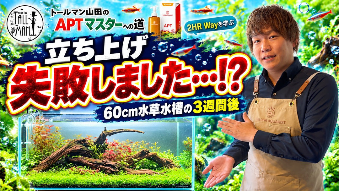 トールマン山田のAPTマスターへの道 第4回｜YouTubeサムネイル
