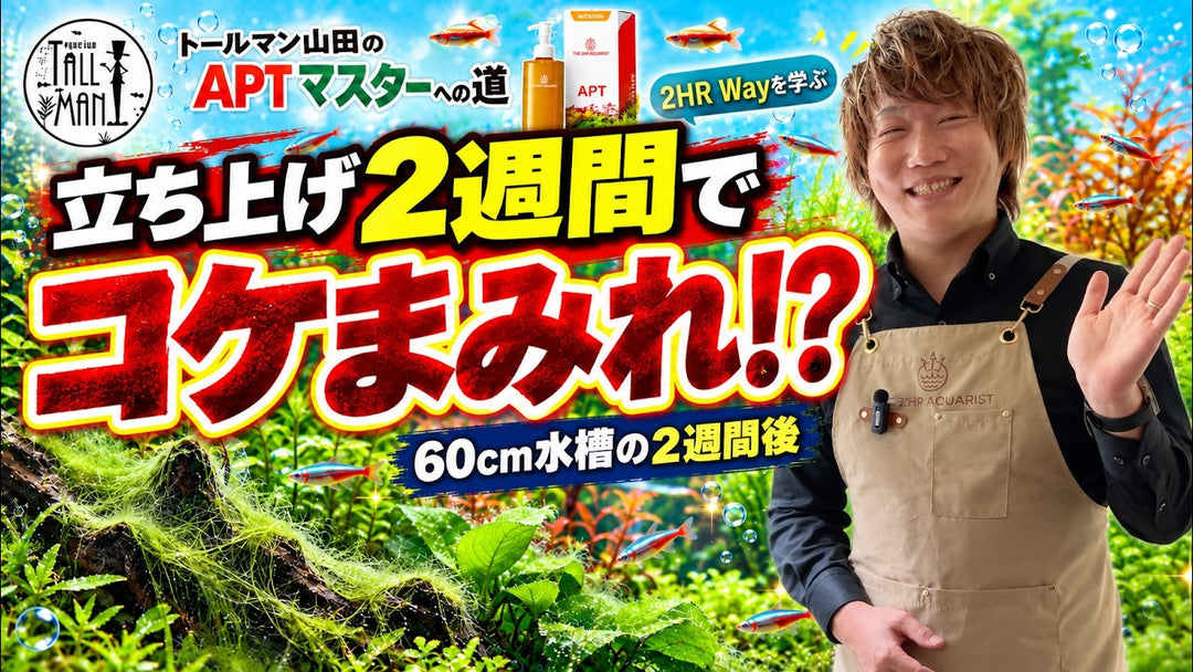 トールマン山田のAPTマスターへの道 第3回｜YouTubeサムネイル