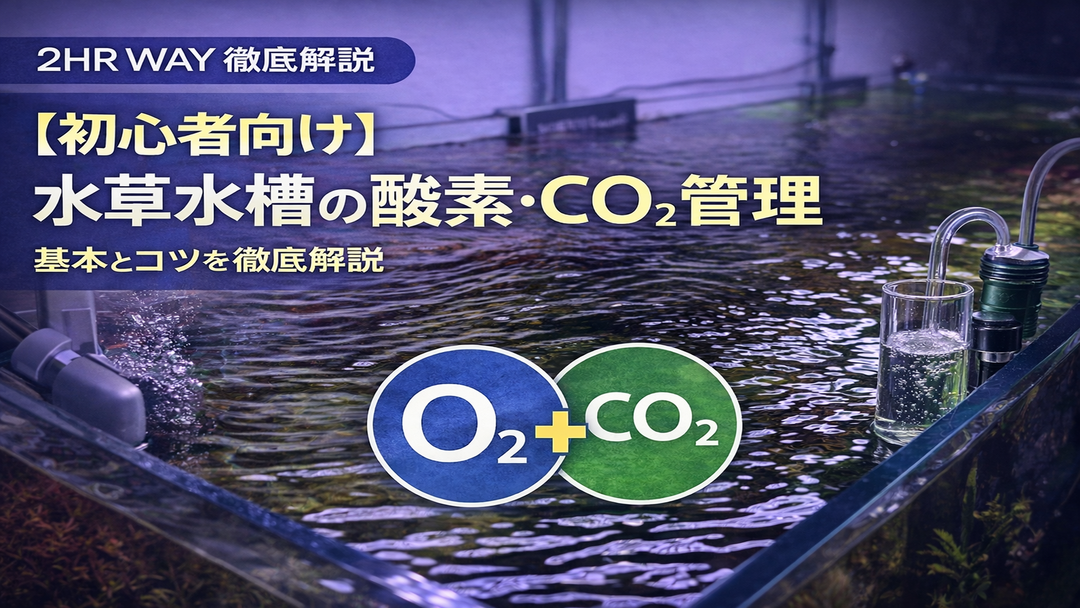 水草水槽が不安定な原因は酸素とCO₂｜2HR Wayの基本的な考え方
