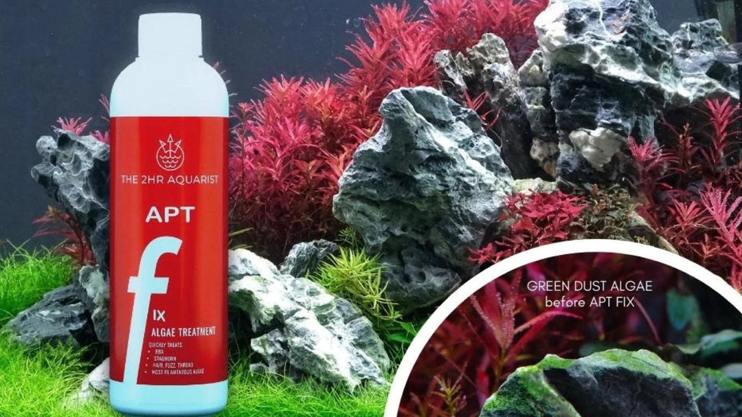 THE 2HR AQUARIST APT FIX