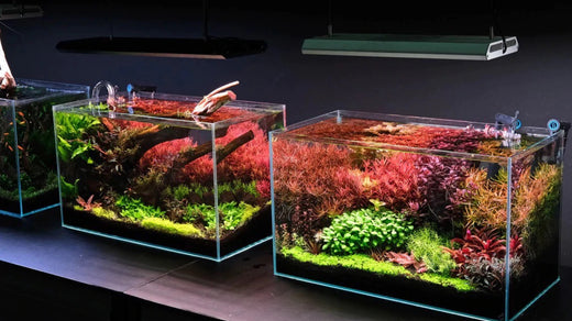 水草水槽のLEDライト完全ガイド - THE 2HR AQUARIST JAPAN