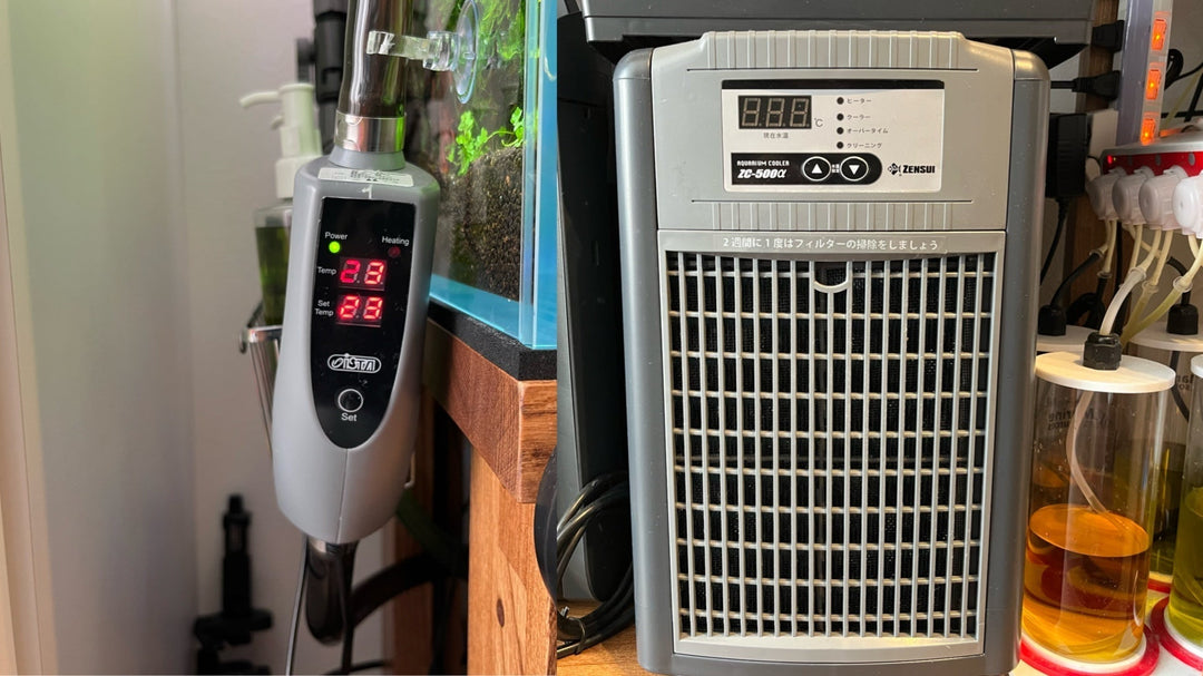 ヒーター クーラー おすすめ 水草 水槽 水温