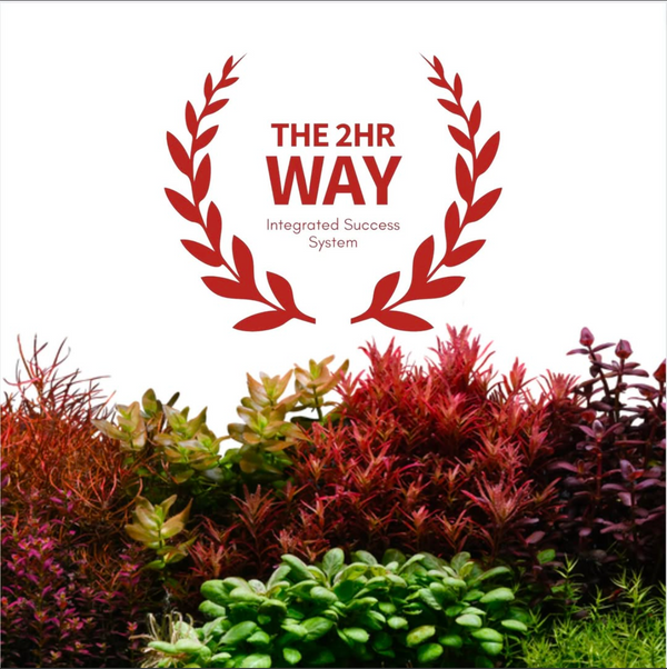 2HR Way リンク