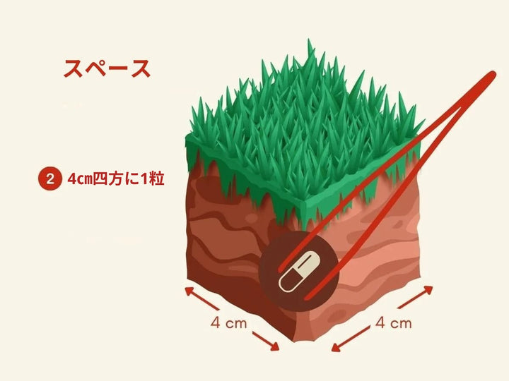 APT JAZZ 使い方