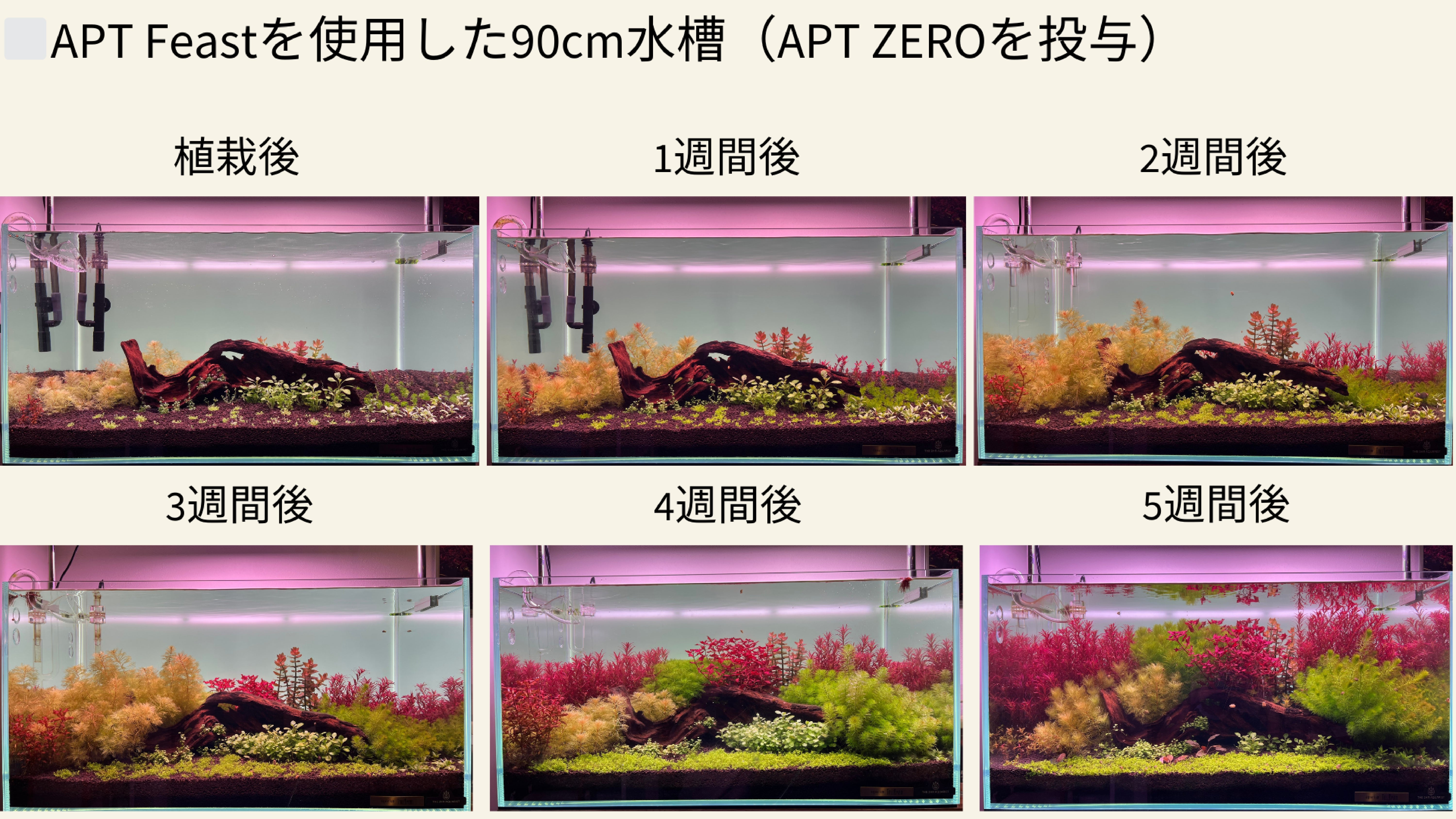 APT Feastを使って水槽の立ち上げを簡単に