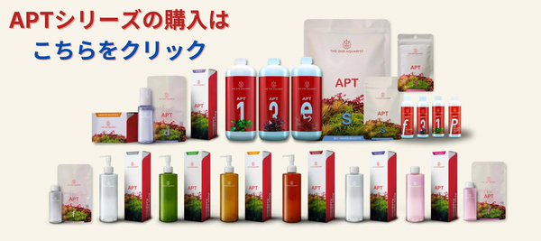 Amazon Products