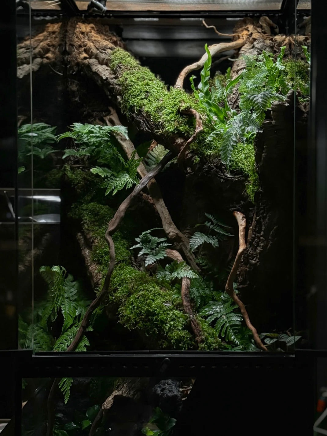 様々な植物におすすめ 葉面散布用ミスト式栄養剤 APT DEW 肥料