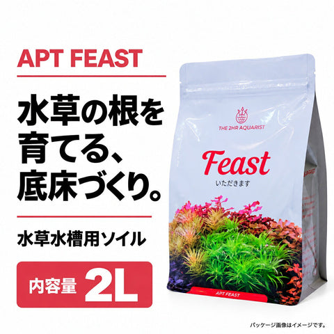 水草を美しく育てる 水草水槽用ソイル APT Feast