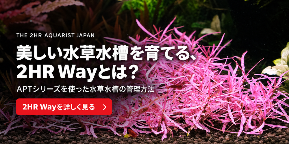 slide_image