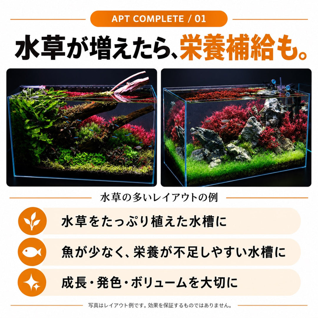 APT COMPLETE おすすめの水槽