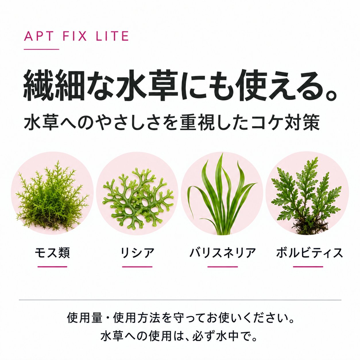 apt-006まとめ売り APT FIX II（LITE）：水草に優しいコケ取り剤 – THE 2HR AQUARIST JAPAN