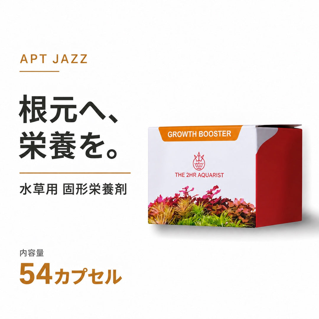 APT JAZZ 54カプセル