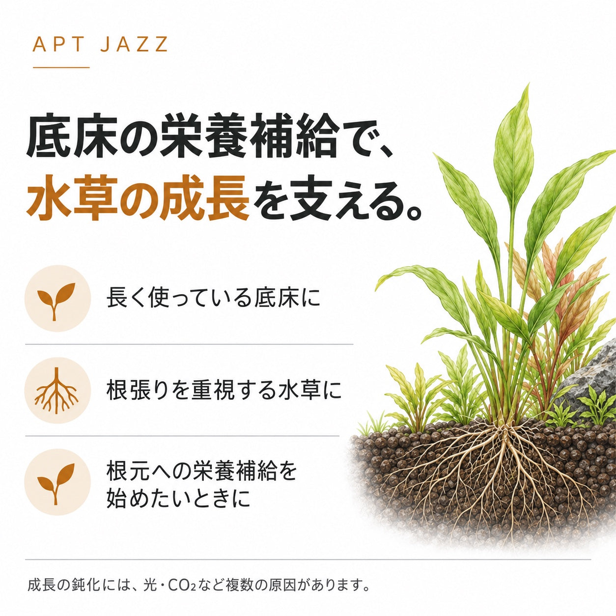 APT JAZZで水草の成長をサポート – THE 2HR AQUARIST JAPAN