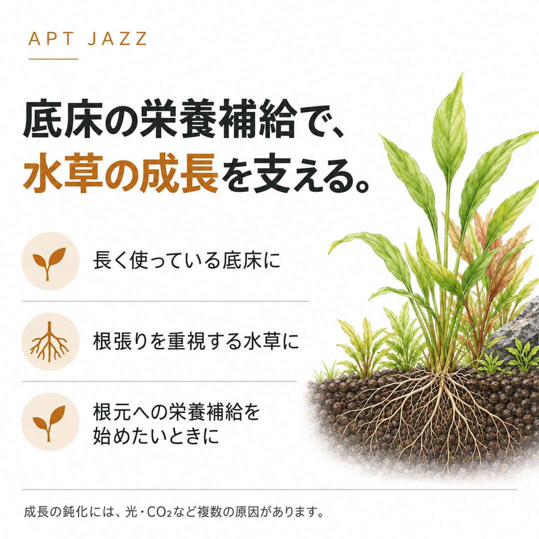 APT JAZZ おすすめの水槽