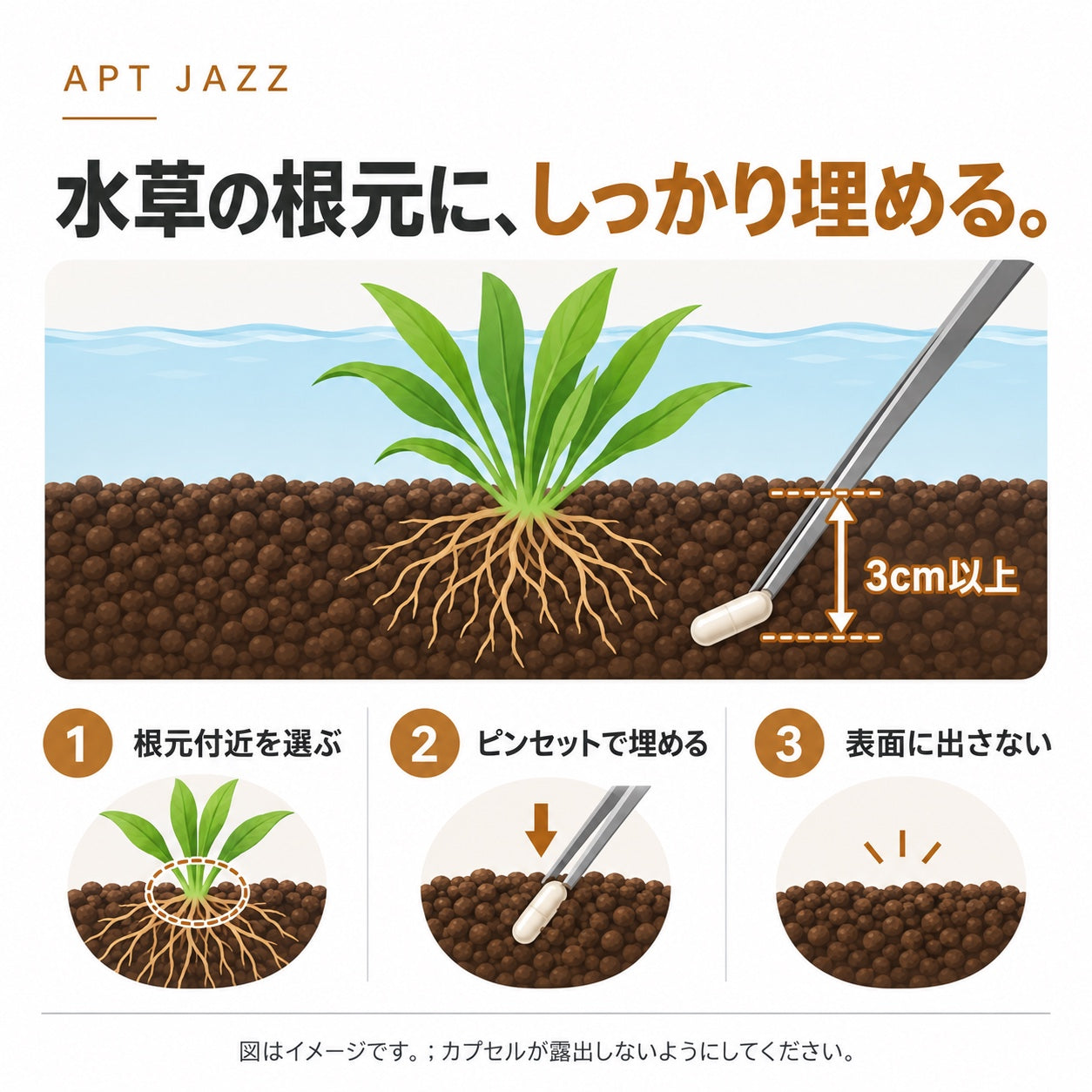 APT JAZZで水草の成長をサポート – THE 2HR AQUARIST JAPAN