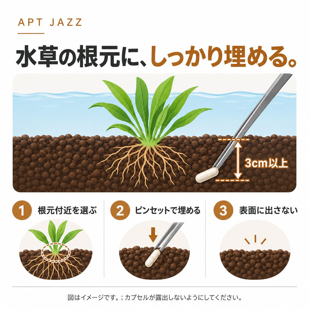 APT JAZZ 底床への埋め方