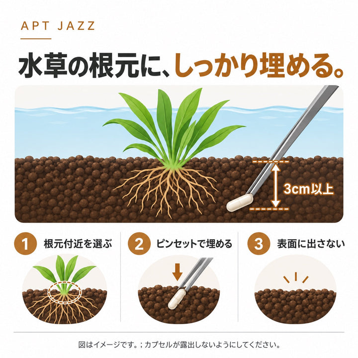 APT JAZZ 底床への埋め方