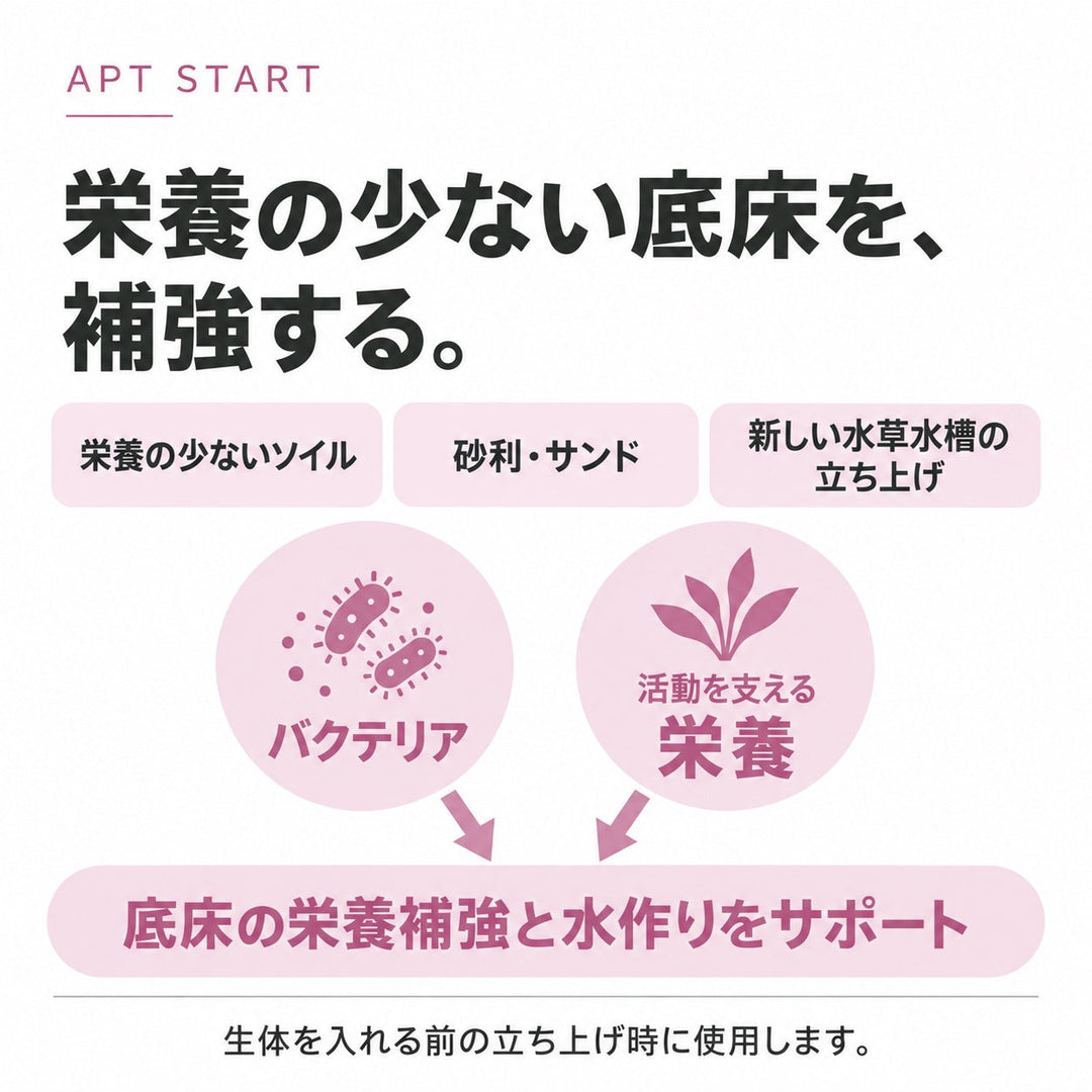 役割と特徴