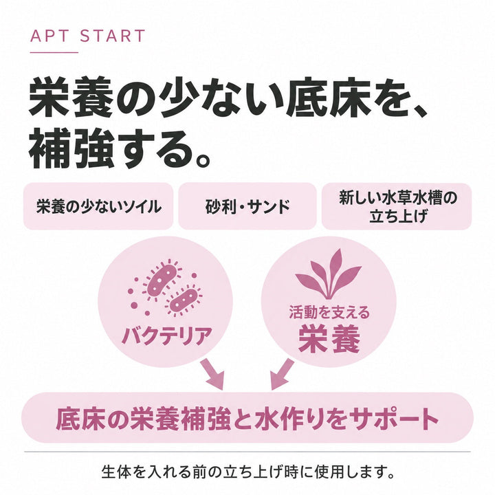 役割と特徴
