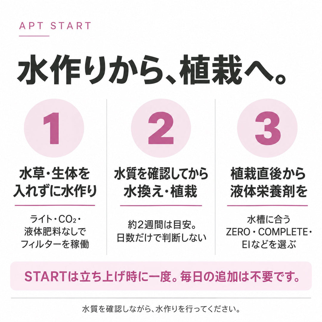 水作りから植栽まで