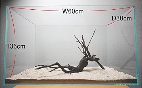 レイアウト 流木 60cm水槽