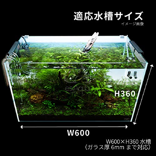 水草水槽 おすすめ バックスクリーンライト - THE 2HR AQUARIST JAPAN